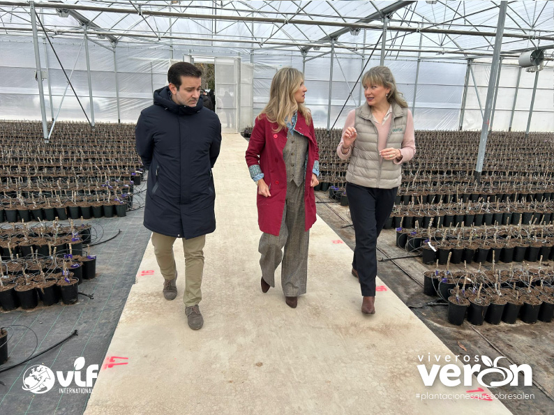 La vicepresidenta del Gobierno de Aragón, Mar Vaquero, ha visitado las instalaciones de Viveros Verón.