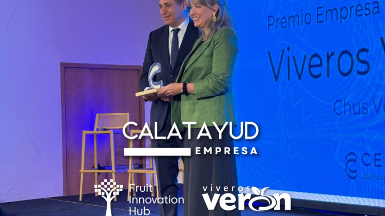 Premio Empresa Innovadora en los Premios Empresa Calatayud 2026